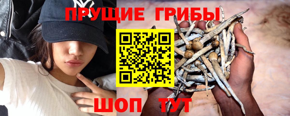 даркнет сайт  Галлюциногенные грибы Magic Shrooms  Вход с VPN  Псилоцибиновые грибы прущие грибы  Дятьково 